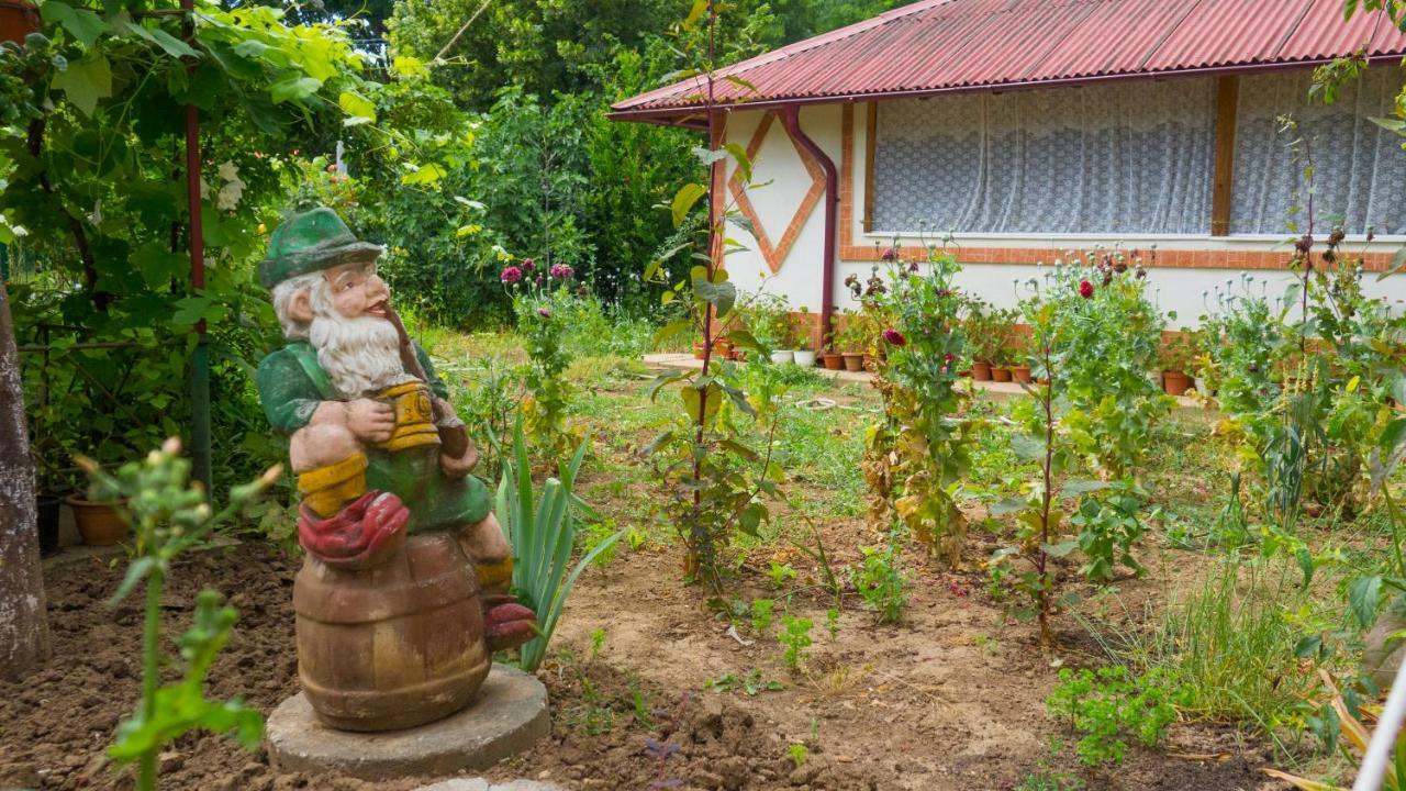 Вилла Casa Din Gradina Эфорие-Суд Экстерьер фото