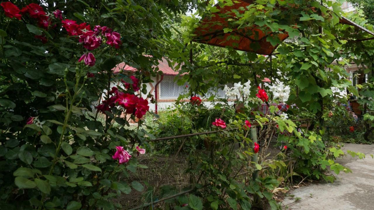 Вилла Casa Din Gradina Эфорие-Суд Экстерьер фото
