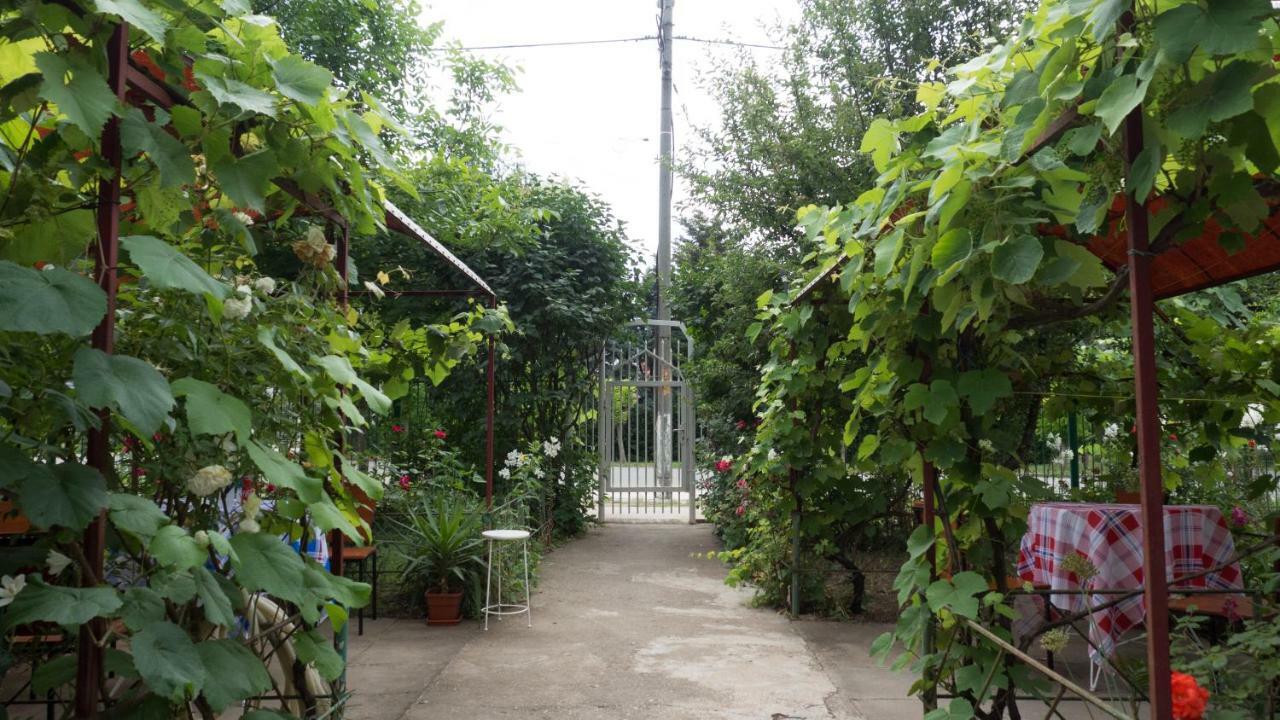 Вилла Casa Din Gradina Эфорие-Суд Экстерьер фото