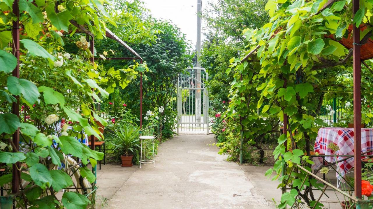 Вилла Casa Din Gradina Эфорие-Суд Экстерьер фото